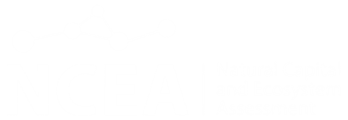 The Natural Capital and Ecosystem Assessment Logo
